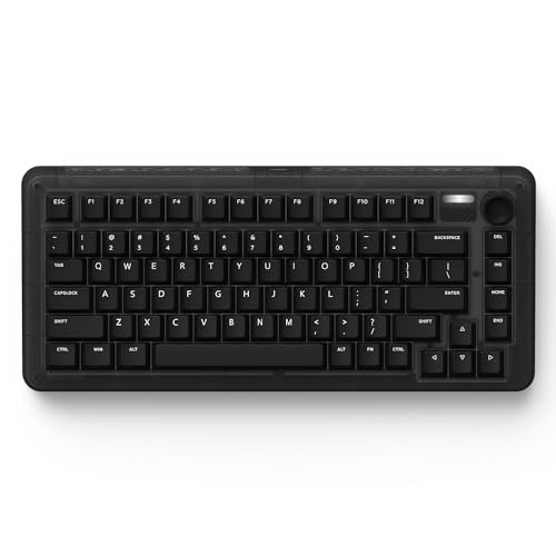 IQUNIX ZX75 Dark Side RGB Wireless/Bluetooth/Wired Gaming Keyboard
