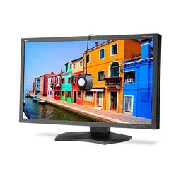 NEC PA322UHD-BK-SV 31.5" 3840 x 2160 60 Hz Monitor