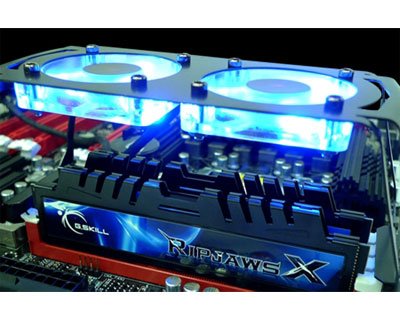 G.Skill Ripjaws X + Turbulence II 4 GB (2 x 2 GB) DDR3-2200 CL7 Memory