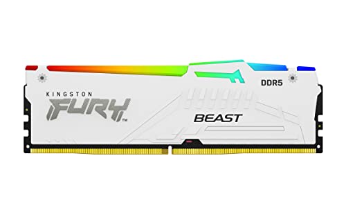 Kingston FURY 16 GB (1 x 16 GB) DDR5-5600 CL40 Memory