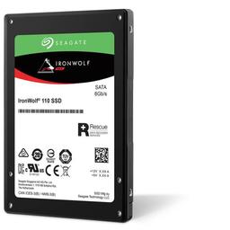 Seagate IronWolf NAS 960 GB 2.5" Solid State Drive